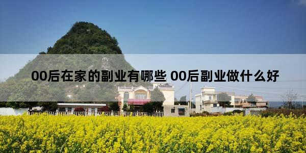 00后在家的副业有哪些 00后副业做什么好